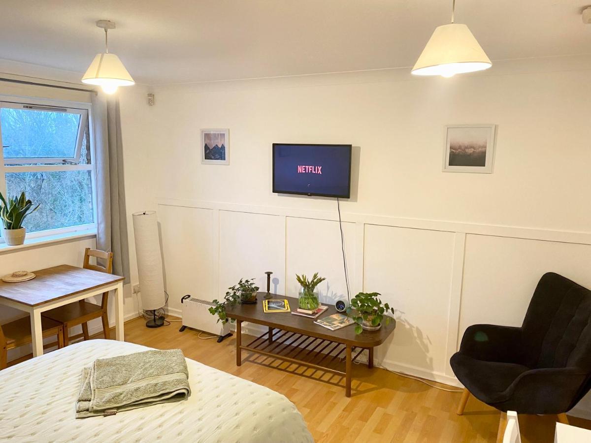 Bright And Comfortable Studio Apartment Londra Exterior foto